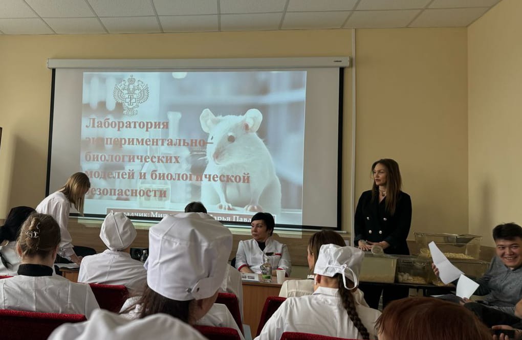 WhatsApp Image 2025-04-10 at 19.19.17.jpeg